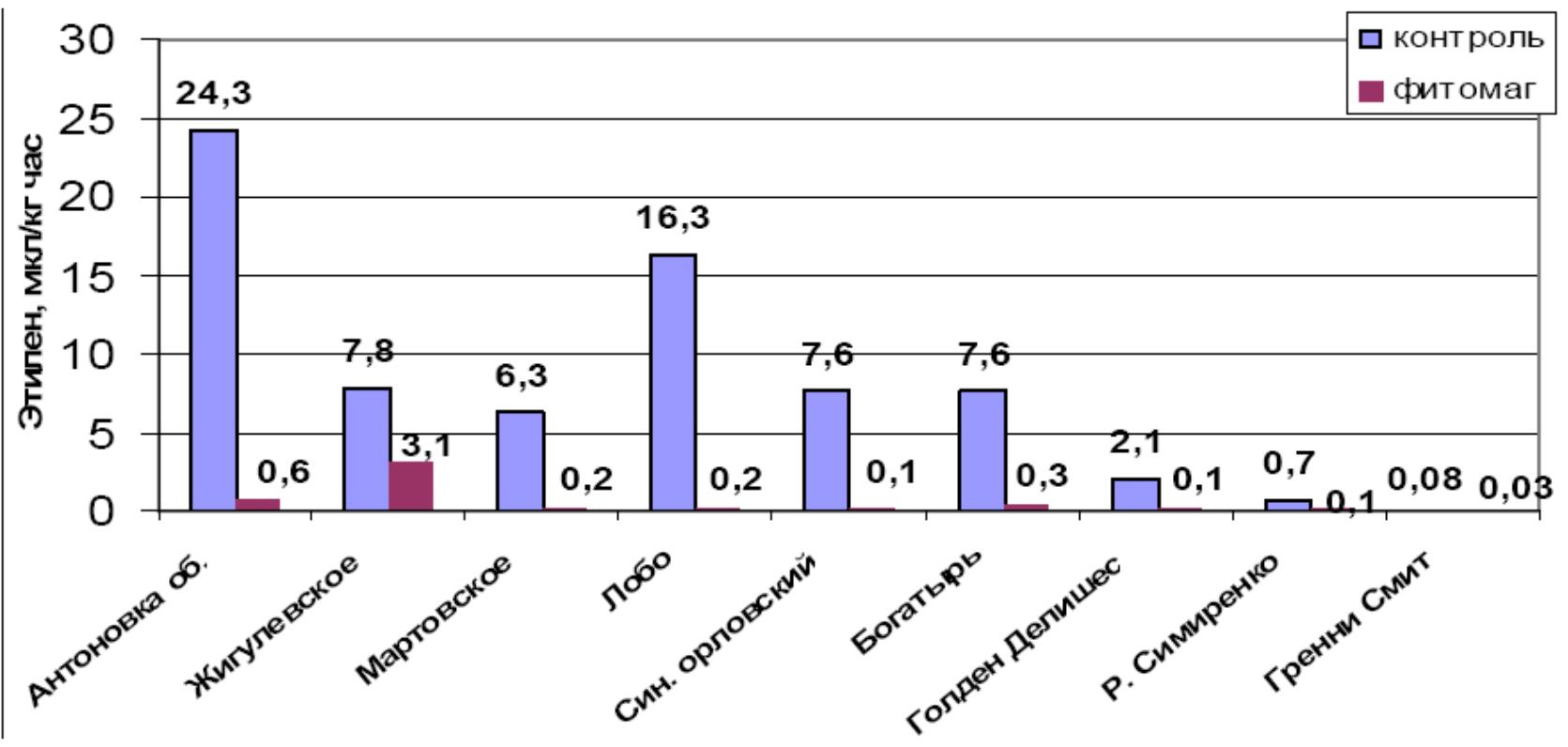 Рис. 1. Влияние сортовых особенностей, обработки препаратом Фитомаг на интенсивность выделения плодами этилена (5 дней после съема, ОА, Т=+2–4°С)