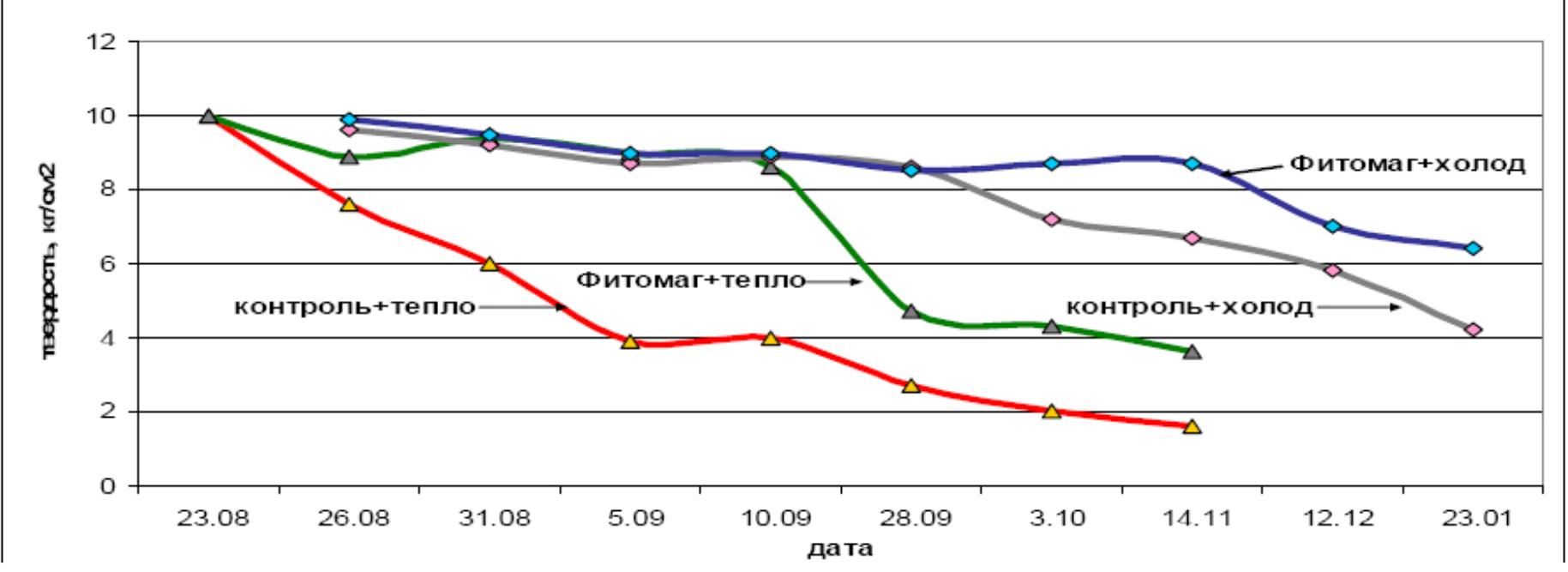 Рис. 3. Влияние препарата Фитомаг на снижение твердости мякоти плодов сорта Антоновка обыкновенная при хранении в условиях повышенной и пониженной температур