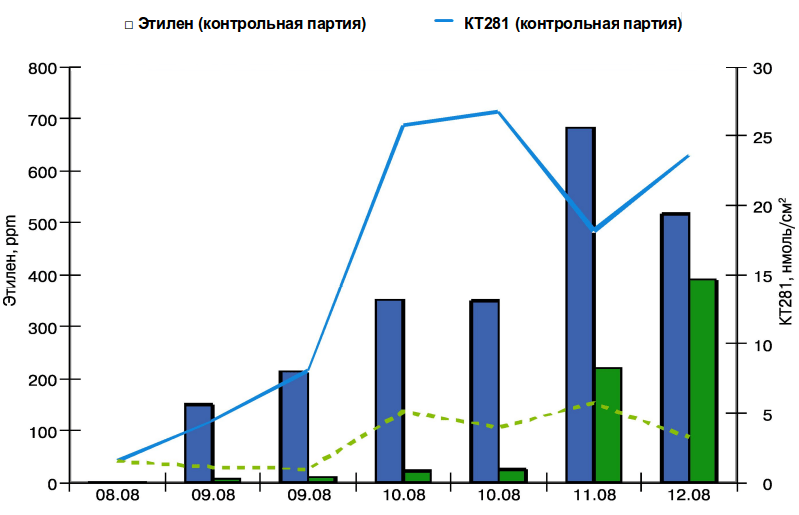 Рис. 1. Влияние обработки препаратом Фитомаг на содержание эндогенного этилена и конъюгированных триенов в кожице плодов сорта Антоновка обыкновенная