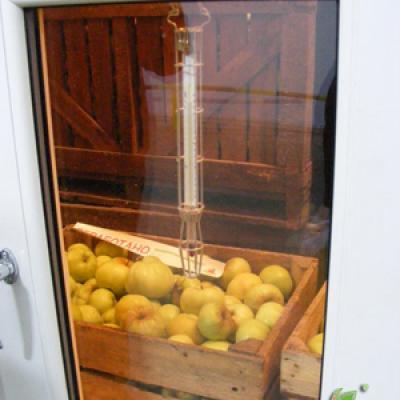 Специальные окна позволяют контролировать процесс хранения яблок.