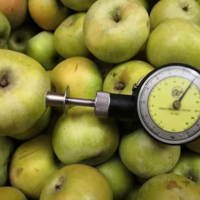 Результаты действия Фитомаг