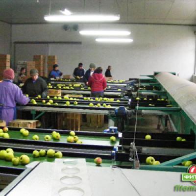 Конференция в г. Липецке — 2009 г.