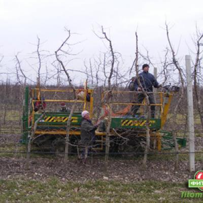 «Сад-Гигант» — 2010 г.